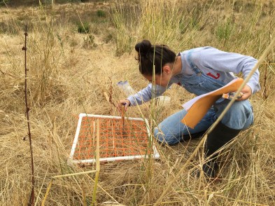 image-9-8-16-at-3-03-pm