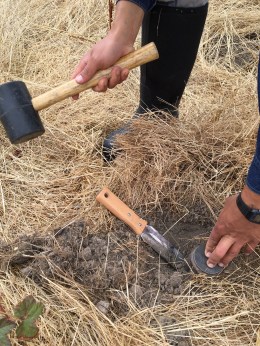 image-9-8-16-at-3-06-pm-1