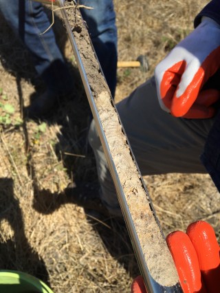 image-9-8-16-at-3-19-pm